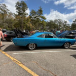 IMG 5535 150x150